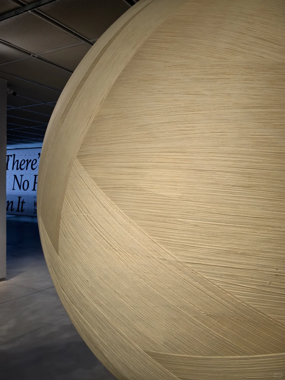 Exploring the Unexciting: Reasons to Visit Shanghai's Free Exhibition