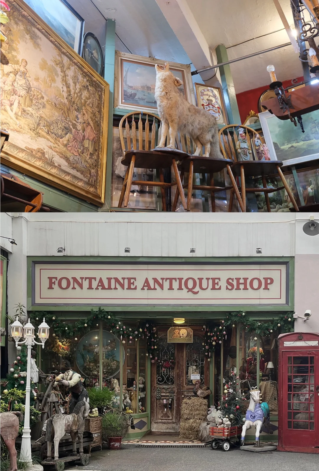 Must-Visit Antique Shops and Cultural Spaces for Vintage Enthusiasts in Shanghai