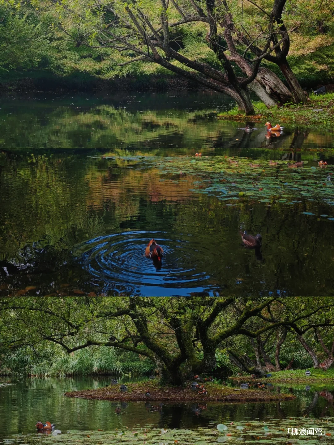 The Ultimate 3.5-Day Travel Guide to Hangzhou