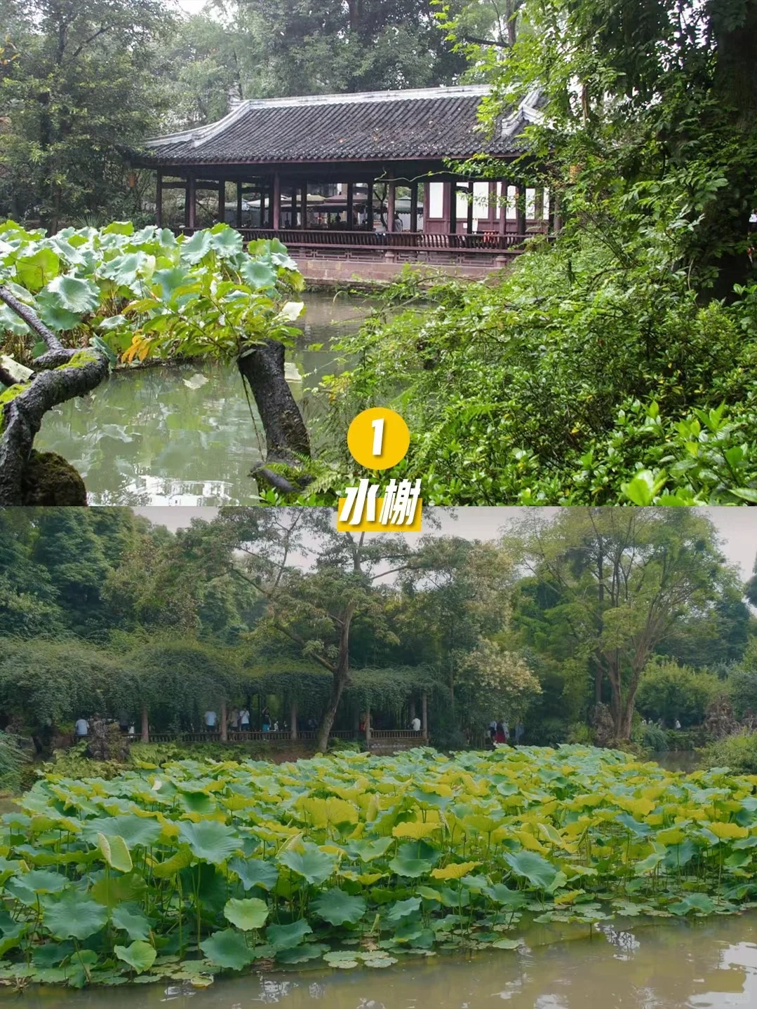 An Ultimate Travel Guide to Dufu Cottage: Make the Most of Your Trip to Chengdu