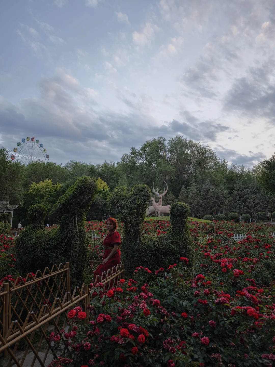 The Ultimate Guide to Self-Driving in Xinjiang: The Beautiful Grasslands from June to September