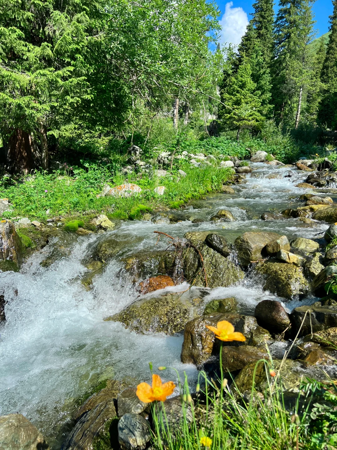 The Essential Guide to Exploring the Mengkte Ancient Trail