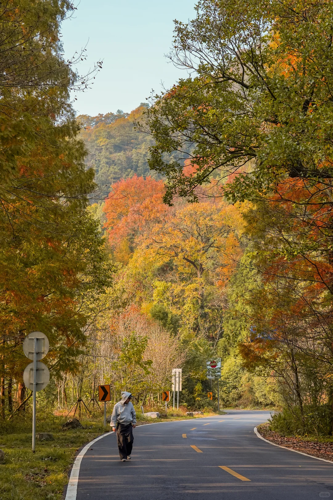 Discover 7 Hidden Autumn Gems in Hangzhou to Escape the Crowds