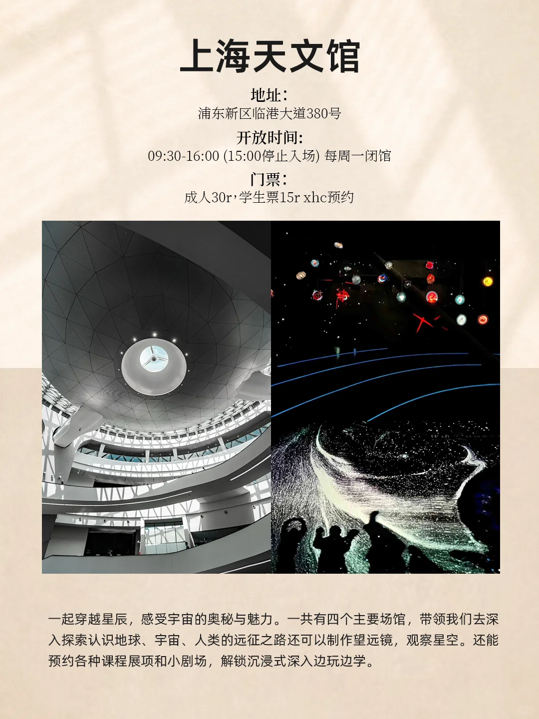 8 Must-Visit Museums in Shanghai for a Cultural Journey