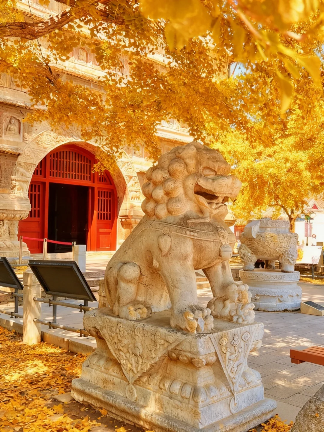 The Autumn Ginkgo Splendor of Wuta Temple in Beijing: A Guide to Scenery and Photography Tips