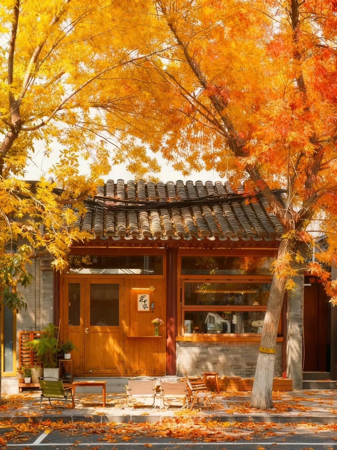 Exploring the Most Beautiful Hutong in Beijing: A Guide to Autumn Citywalks