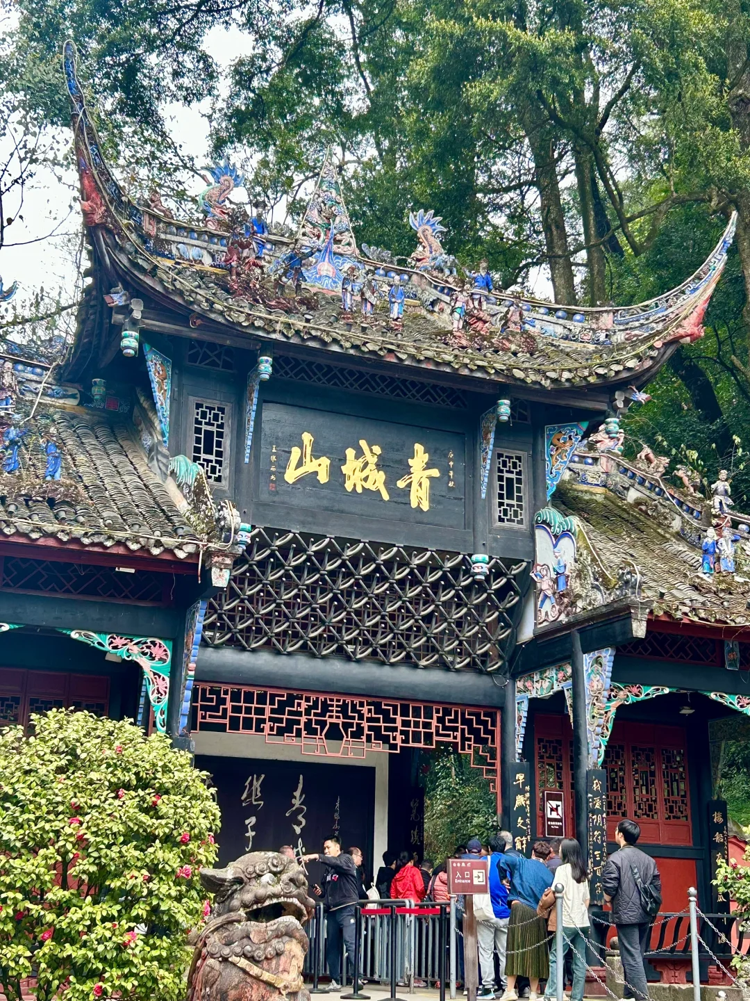 Must-Visit Destinations in Chengdu: A Comprehensive Guide to Qingcheng Mountain and Dujiangyan