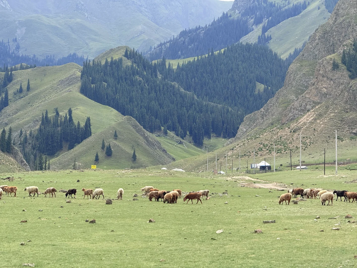 Why Warm Spring County in Xinjiang is the Better Choice Over Sailimu Lake