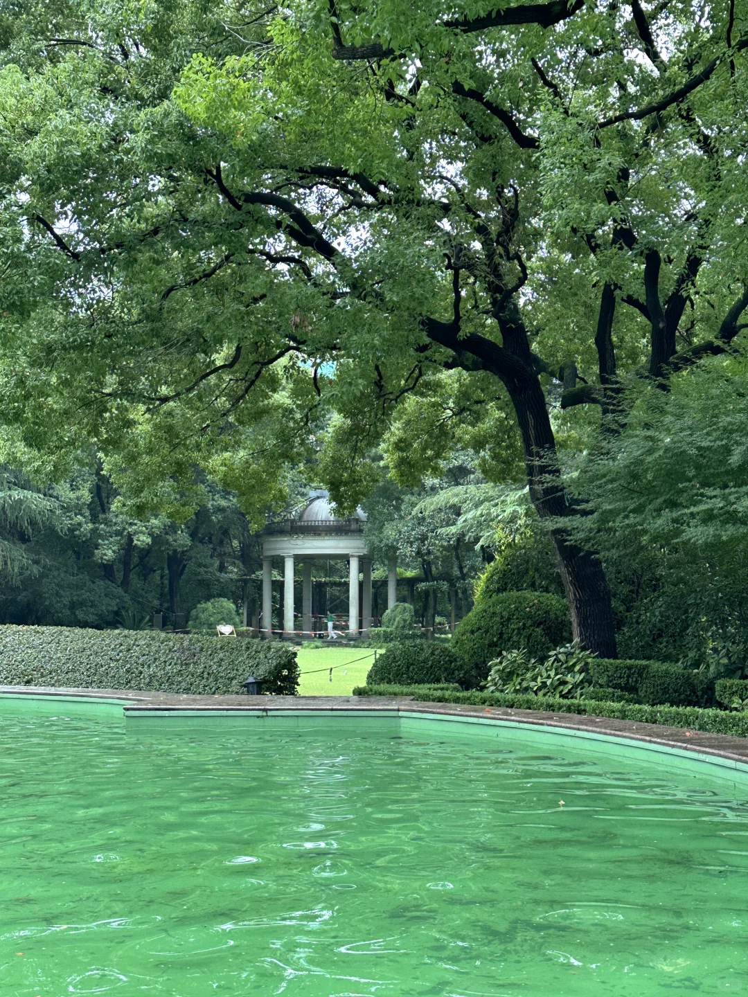 Discovering Shanghai's Best Free Photo Spots to Satisfy Your Photography Cravings