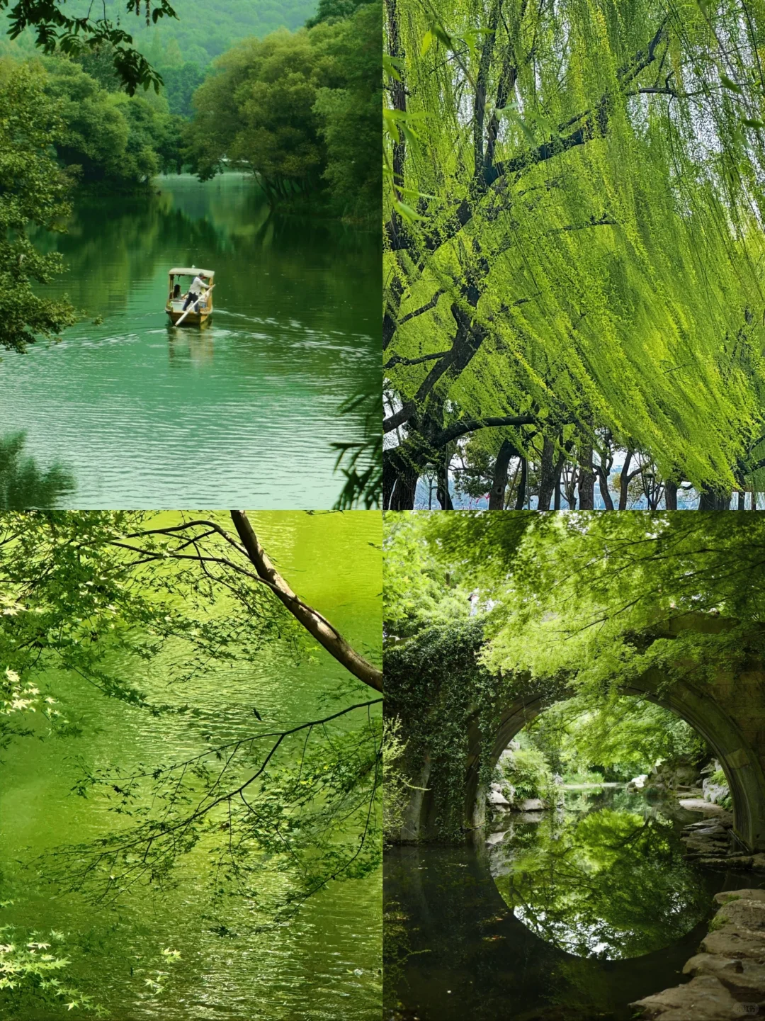 A Local's Guide to a Two-Day Trip in Hangzhou: Avoiding Common Pitfalls