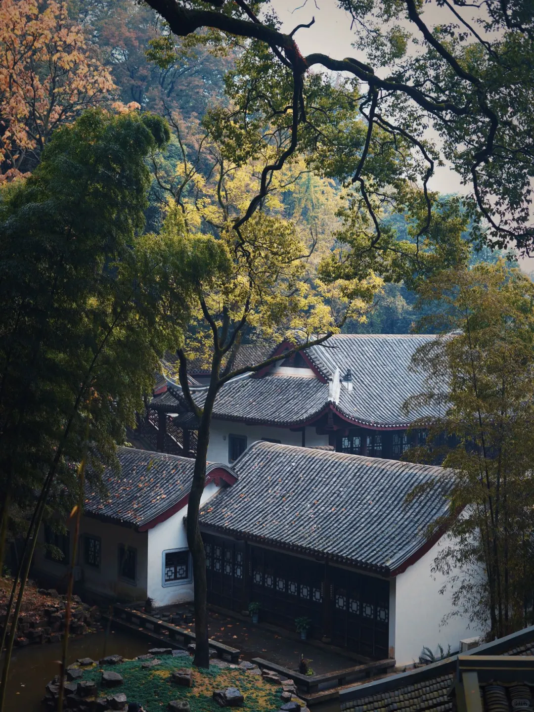 A Half-Day Tour of Yuelu Academy and Aiwan Pavilion: Experience a Thousand Years of History and Culture