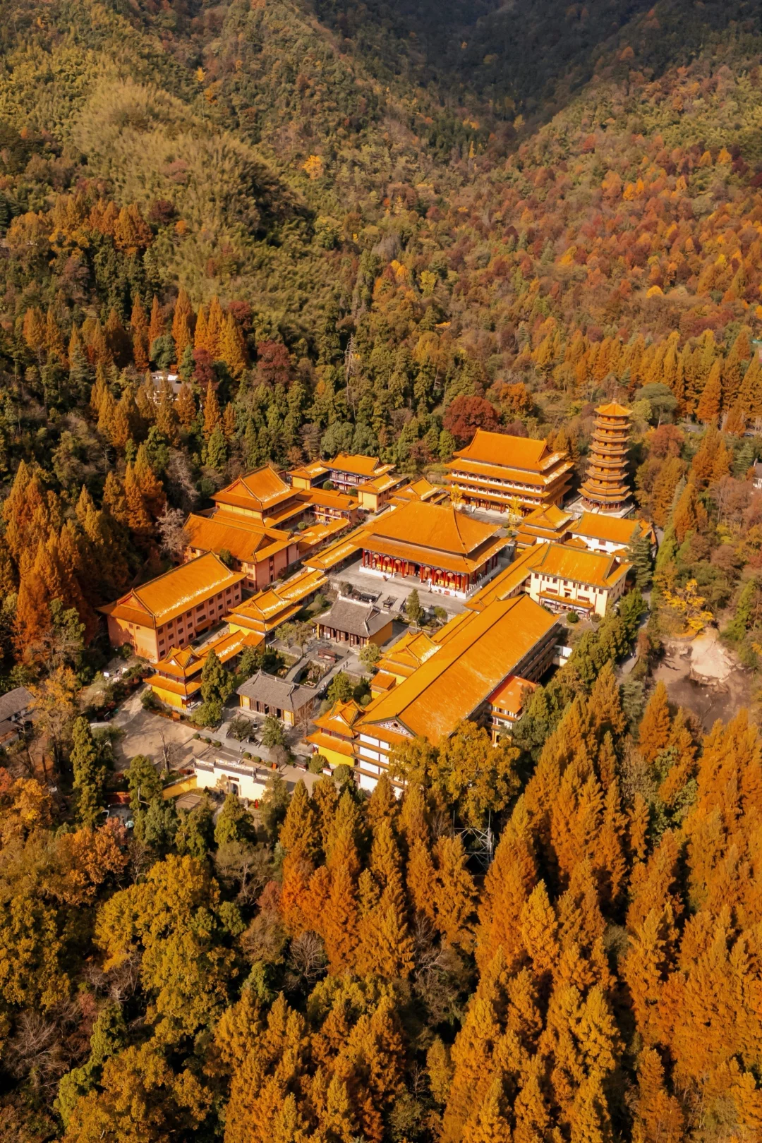 Discover 7 Hidden Autumn Gems in Hangzhou to Escape the Crowds