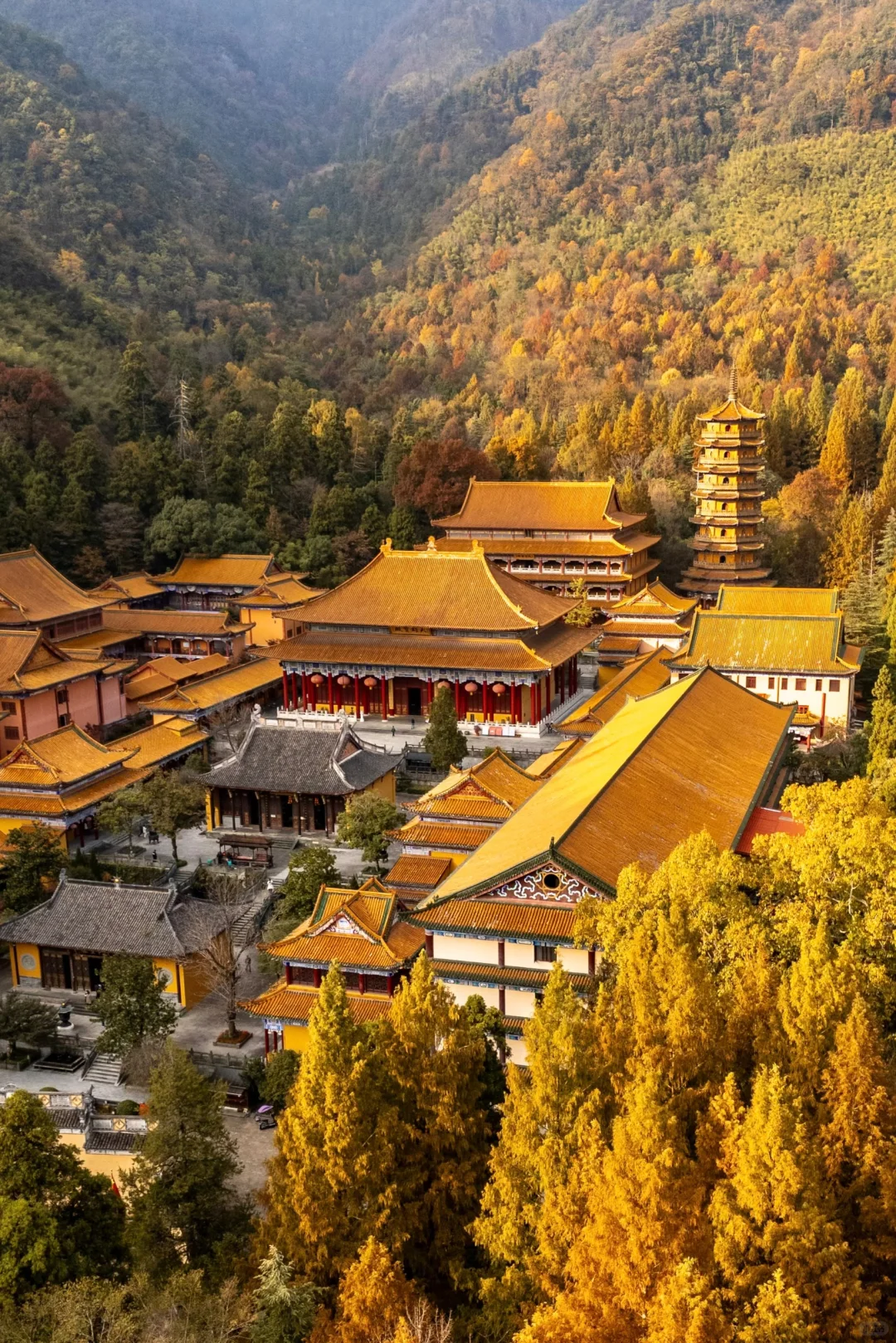 Discover 7 Hidden Autumn Gems in Hangzhou to Escape the Crowds