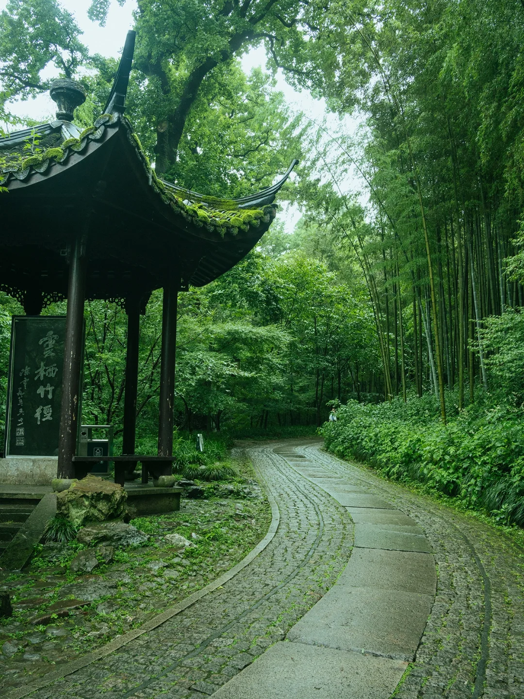 Yunqi Bamboo Path: A Hidden Oasis in Hangzhou’s Rainy Days, Awaiting Discovery